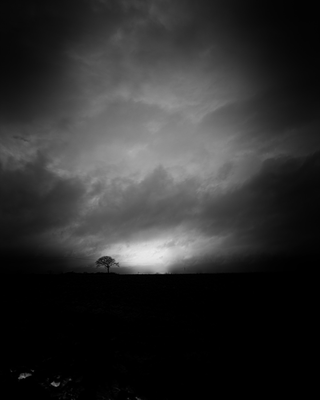 Un arbre isolé en noir et blanc sur une ligne d'horizon, beaucoup de vide autour.