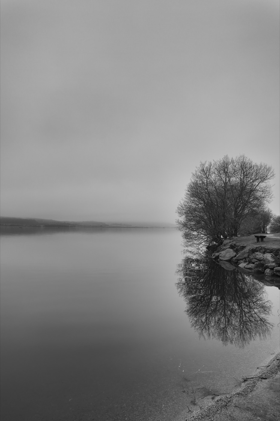 Un arbre nu au bord du lac, dédoublé par son reflet dans une eau parfaitement immobile. La brume efface la rive d'en face.