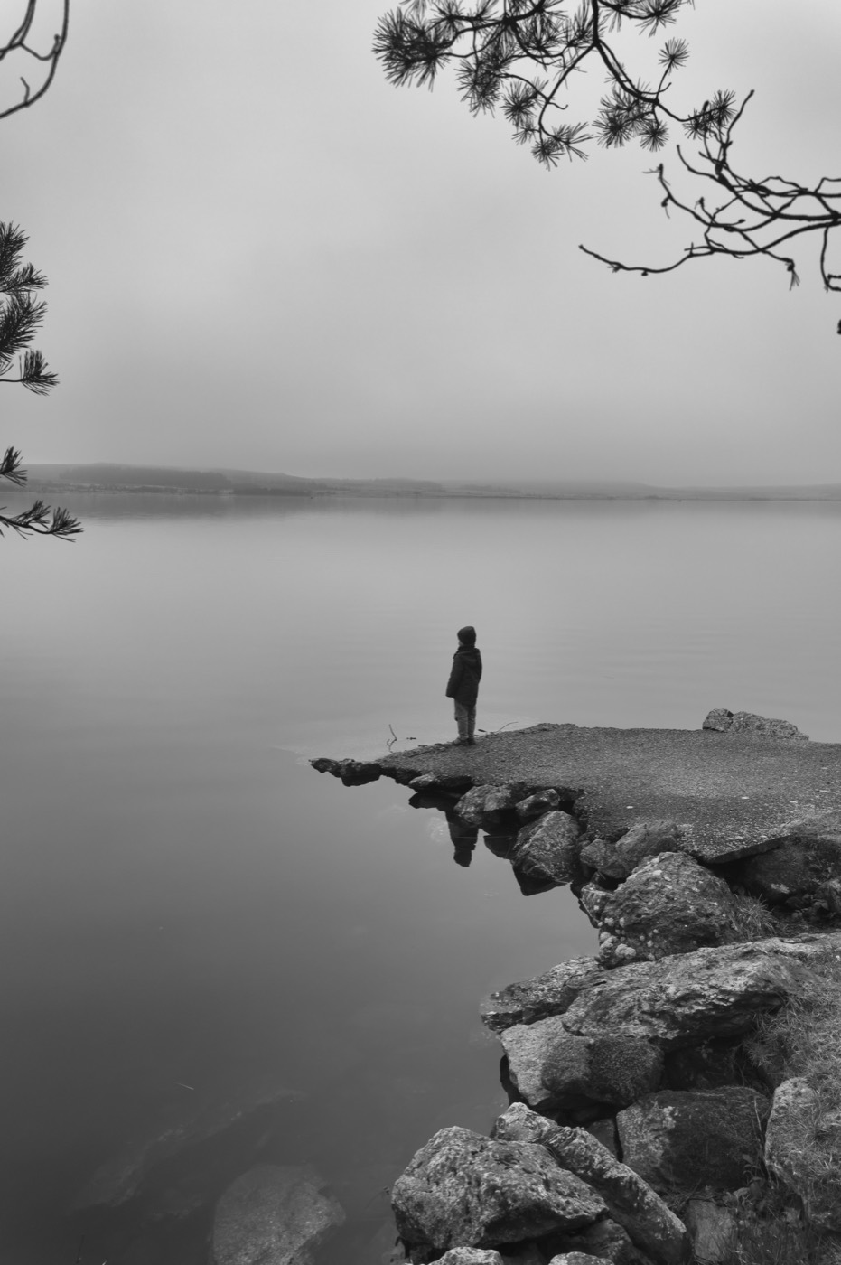 Une silhouette seule se tient à la pointe de la rive, tournée vers l'eau. Des branches de pin ferment le haut du cadre, la brume ferme le fond.
