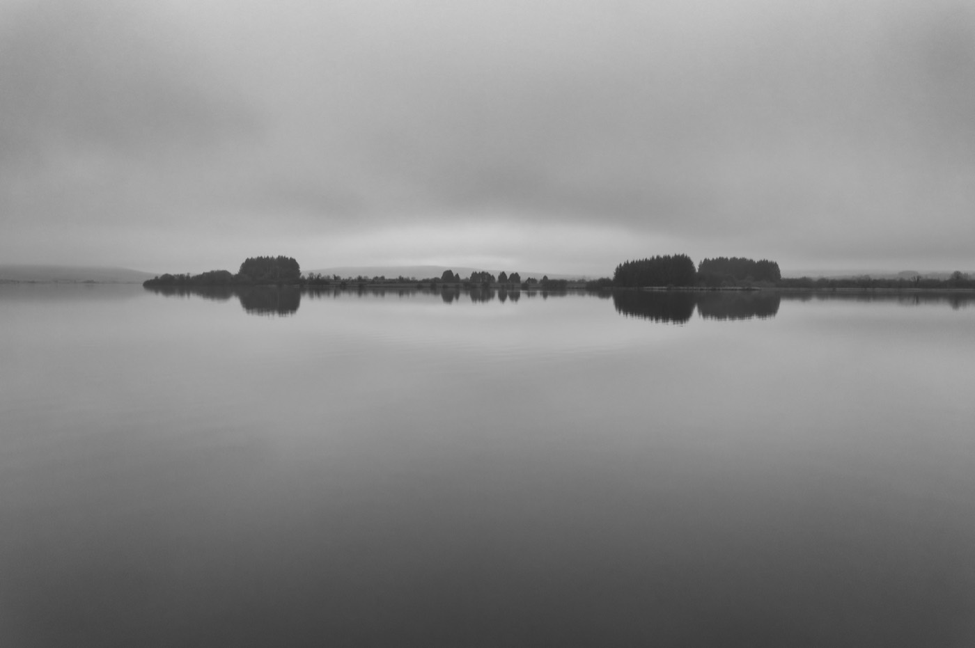 Deux bosquets se répondent de part et d'autre du lac, exactement doublés par leur reflet.